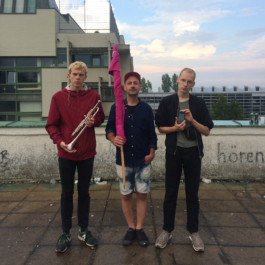 Schwäbischer Online-Albverein