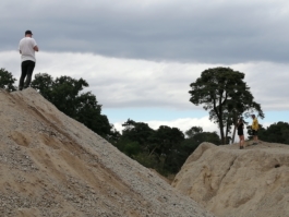 Schwäbischer Online-Albverein