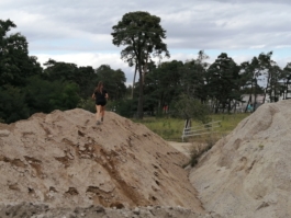 Schwäbischer Online-Albverein